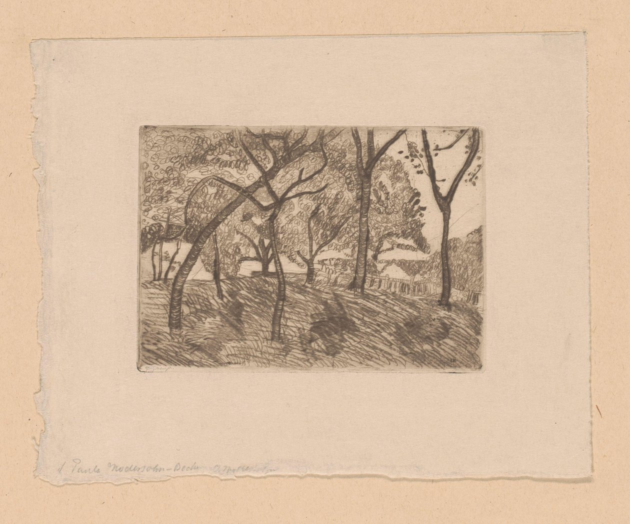 vista da floresta de Paula Modersohn Becker (signed by artist)