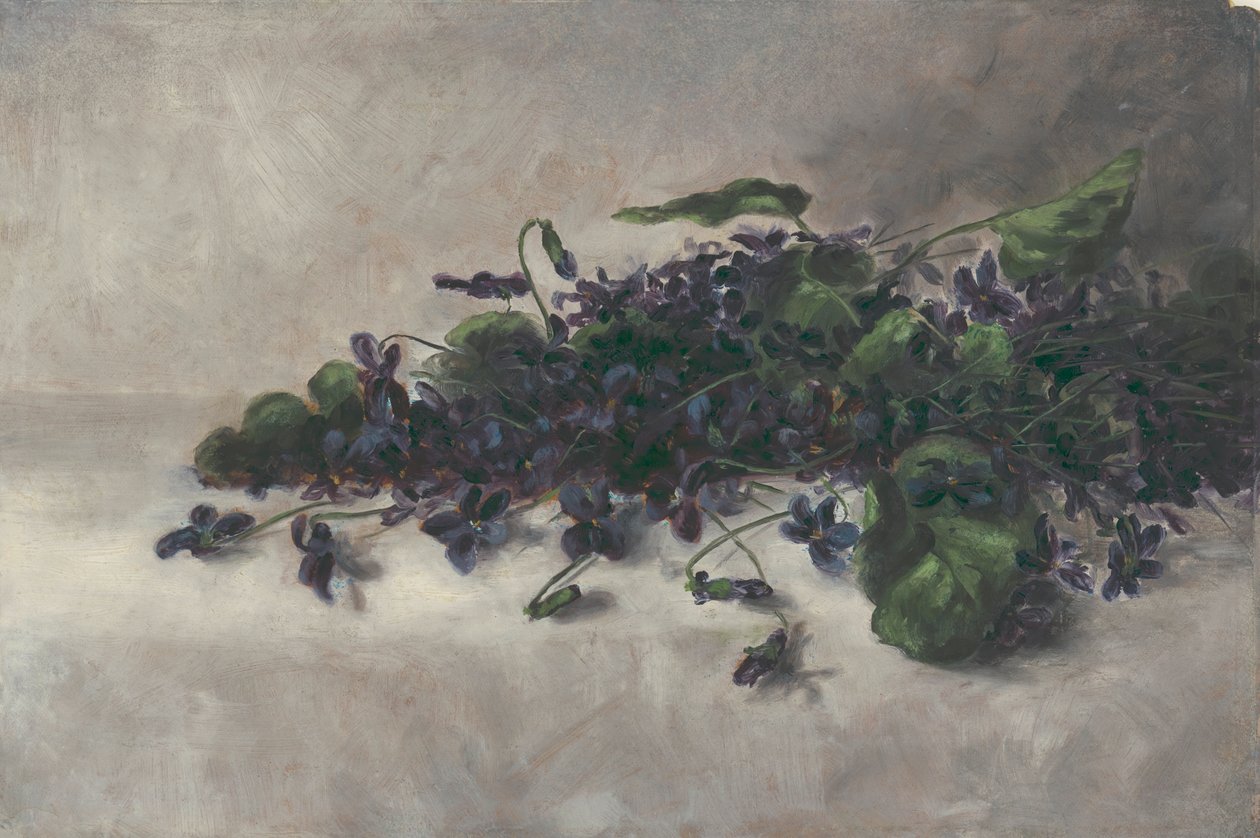 Violetas, ca. 1890. de Pauline Powell Burns