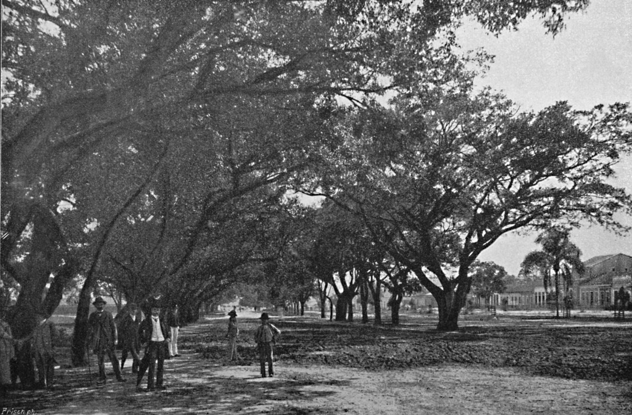 Avenida de Tiradentes, 1895 de Paulo Kowalsky