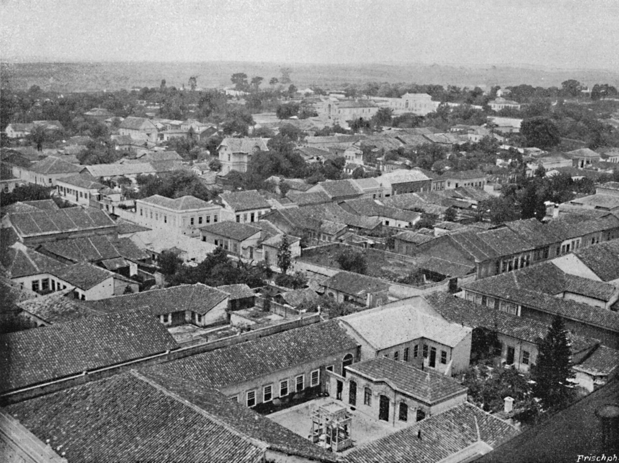 Campinas, 1895 de Paulo Kowalsky