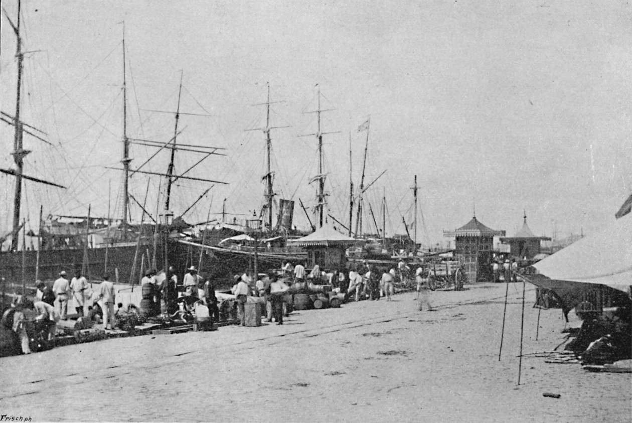 Os Quais de Santos, Santos Quayside, 1895 de Paulo Kowalsky