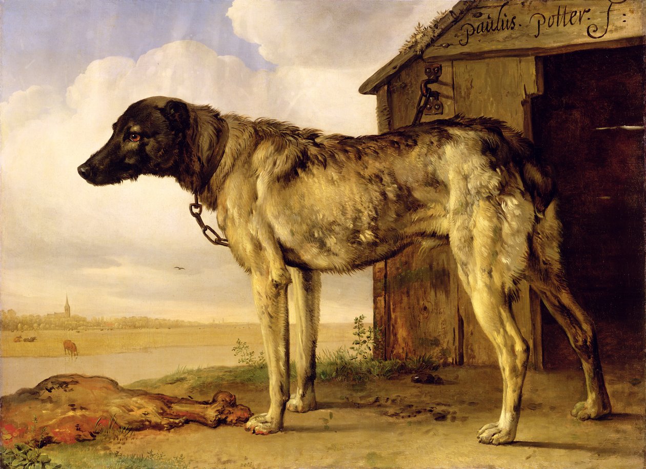 Cão em uma corrente, 1653-4 de Paulus Potter