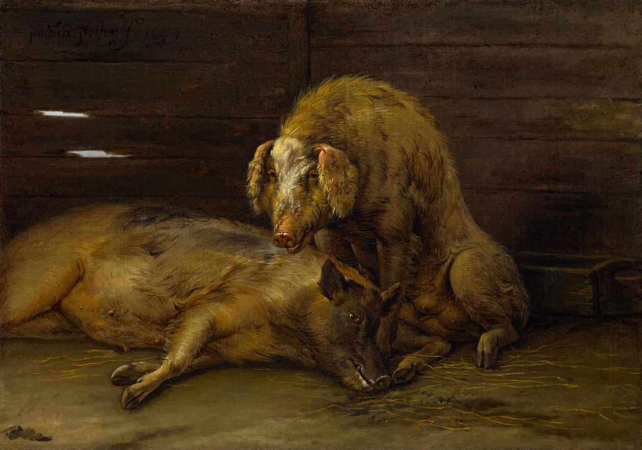 Dois porcos em um chiqueiro, 1649 de Paulus Potter