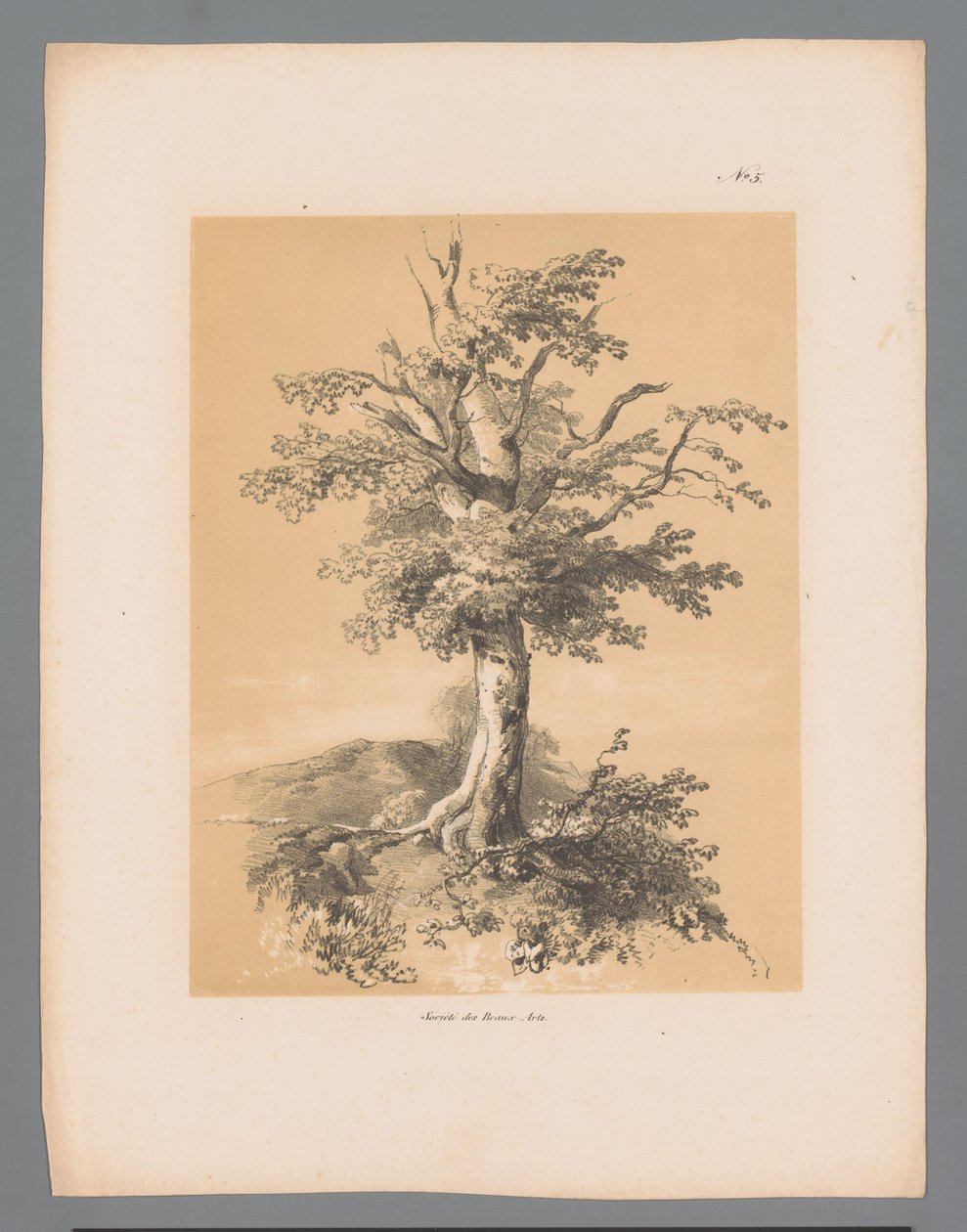 Árvore
Vistas pitorescas de Paulus Lauters (título da série)
Etrennes pittoresques pour 1839, par Lauters (título da série) de Paulus Lauters