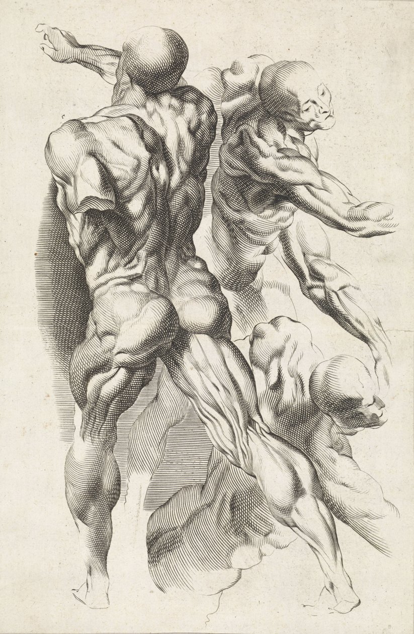 Estudo anatômico de três figuras com braços estendidos O livro de desenho de Peter Paul Rubens (título da série) de Paulus Pontius