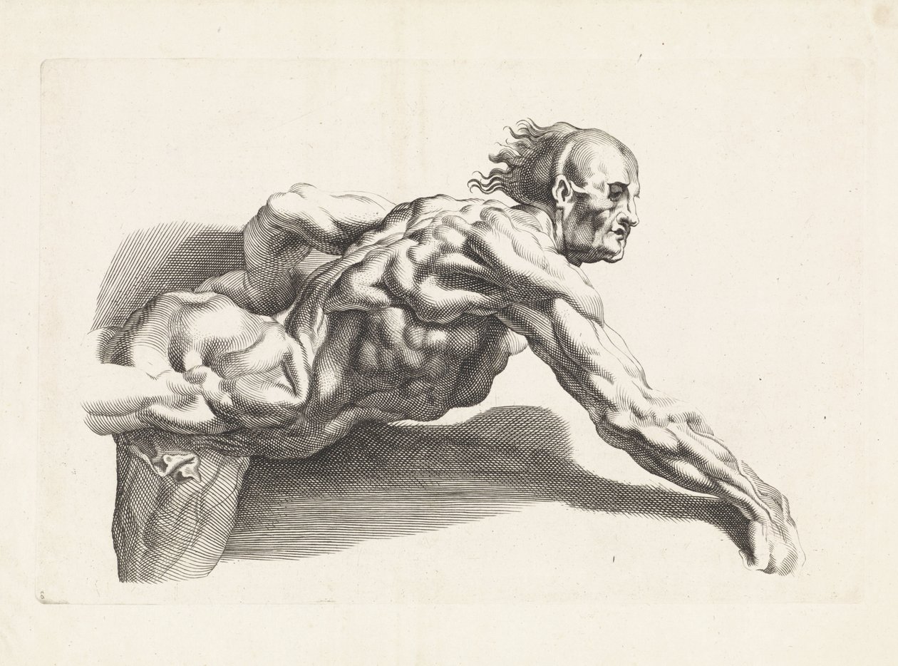 Estudo anatómico do homem inclinado para a frente
O livro de desenho de Peter Paul Rubens (título da série) de Paulus Pontius