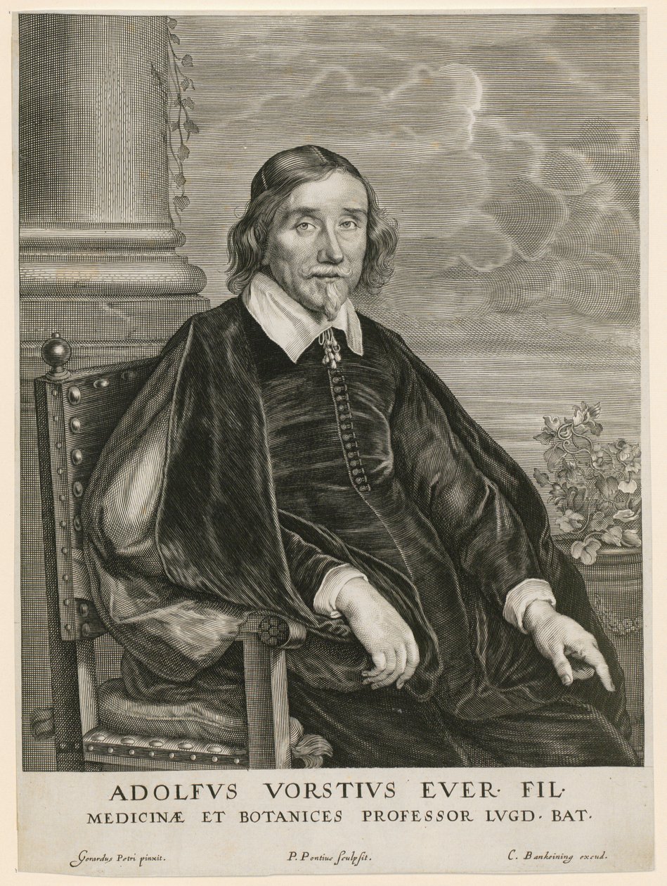 Retrato de Adolph Vorst, professor em Leiden de Paulus Pontius