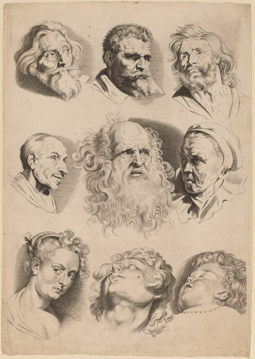 Nove Cabeças de Paulus Pontius after Sir Peter Paul Rubens