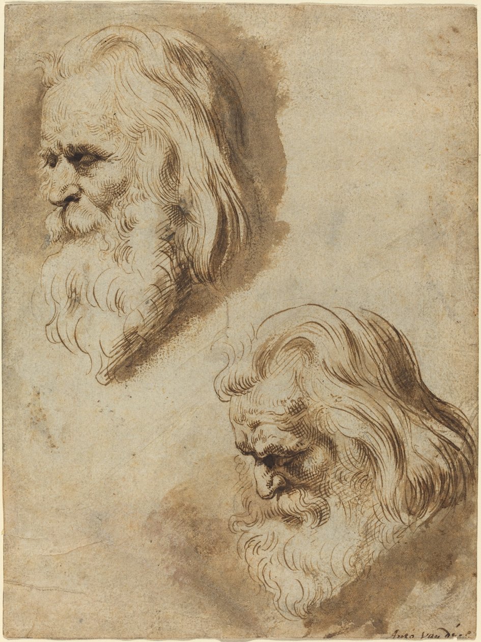 Dois estudos da cabeça de um homem idoso de Paulus Pontius after Sir Peter Paul Rubens