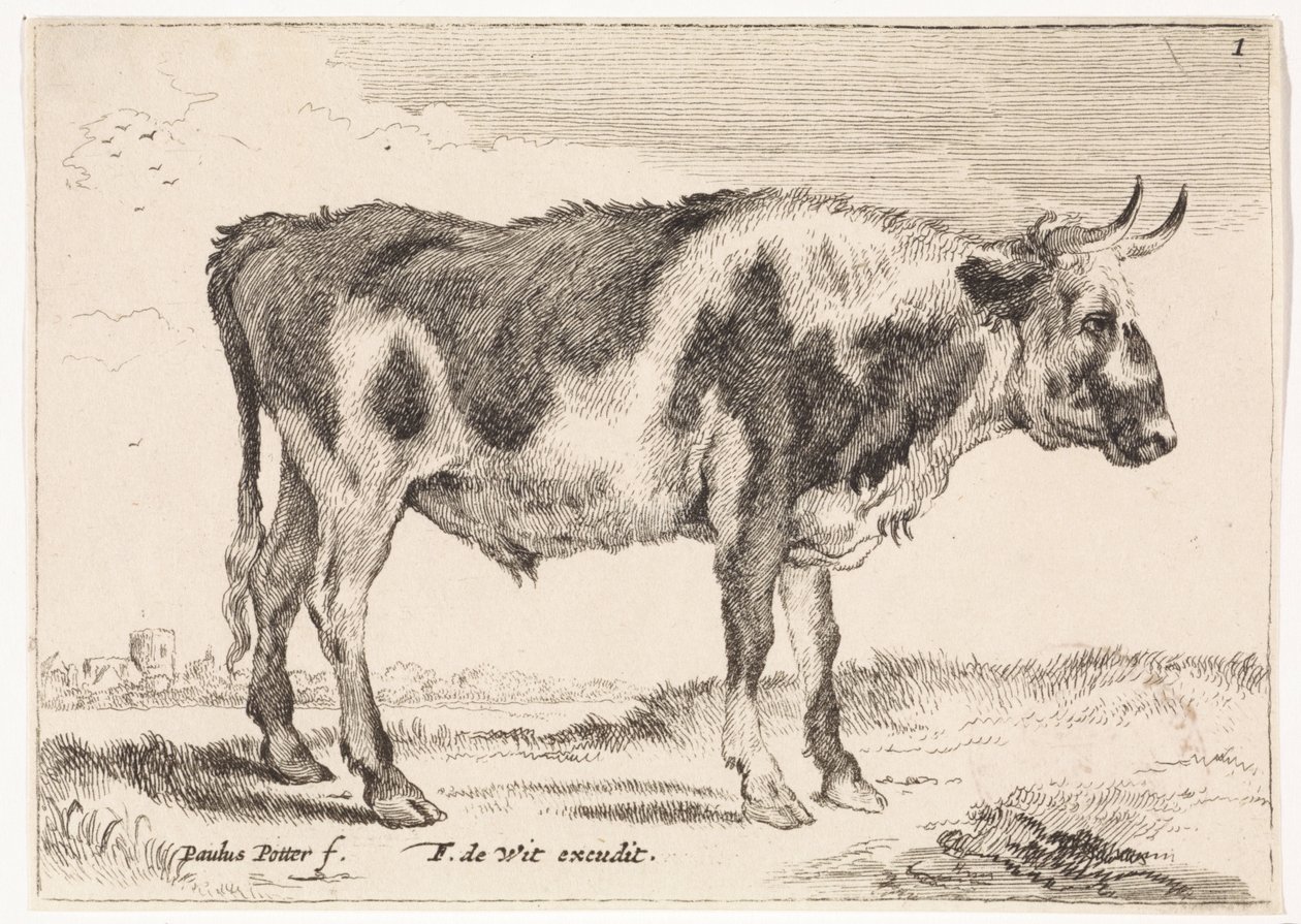boi malhado Bois e Vacas (título da série) de Paulus Potter (rejected attribution)