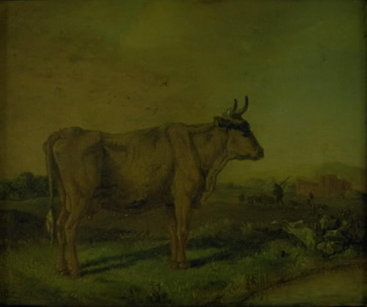 Uma vaca de Paulus Potter