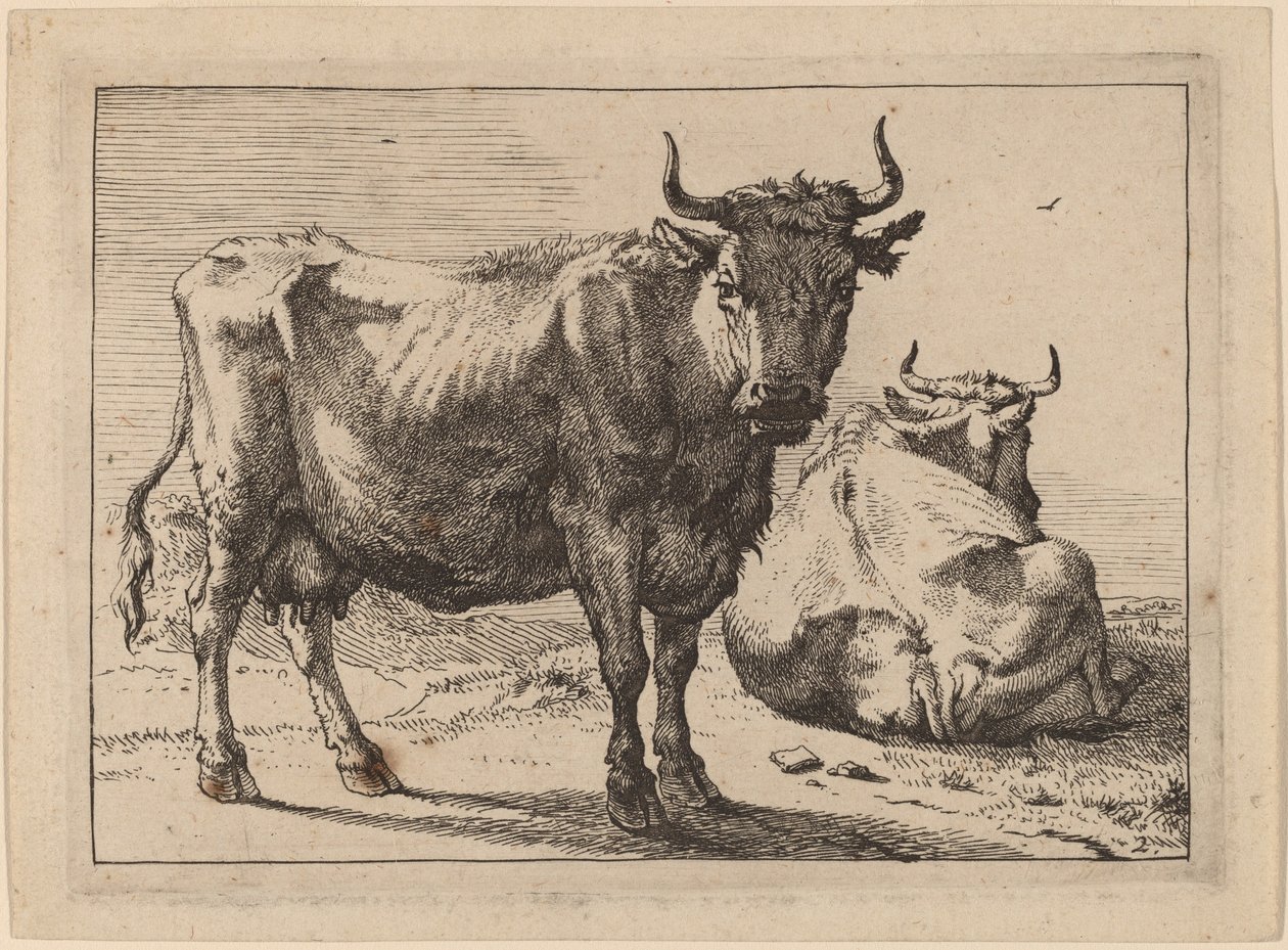 Uma vaca em pé e outra deitada de Paulus Potter
