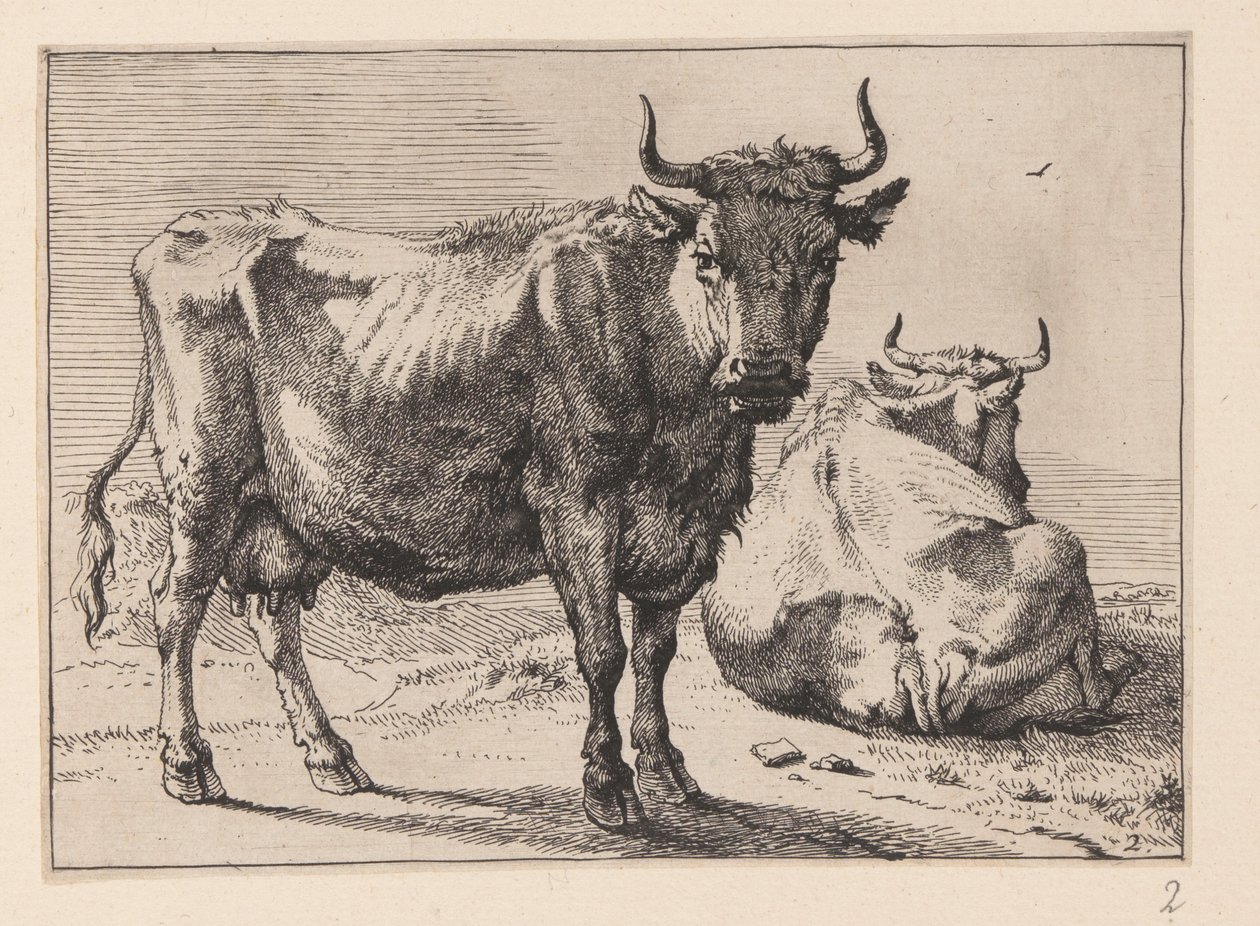 Uma vaca de pé e outra deitada, de Vários bois e vacas de Paulus Potter