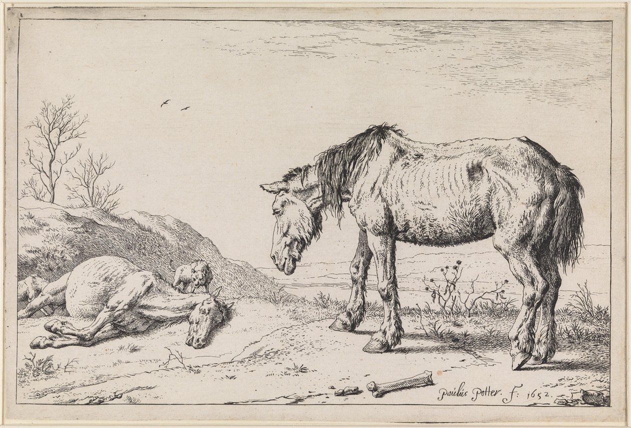 Cavalos exaustos de Paulus Potter