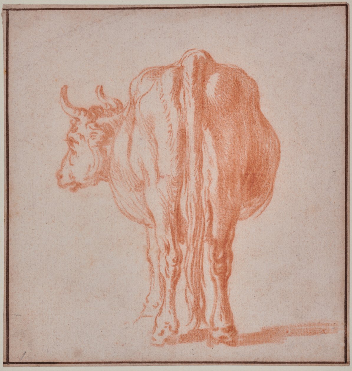 Vaca (estudo animal) de Paulus Potter
