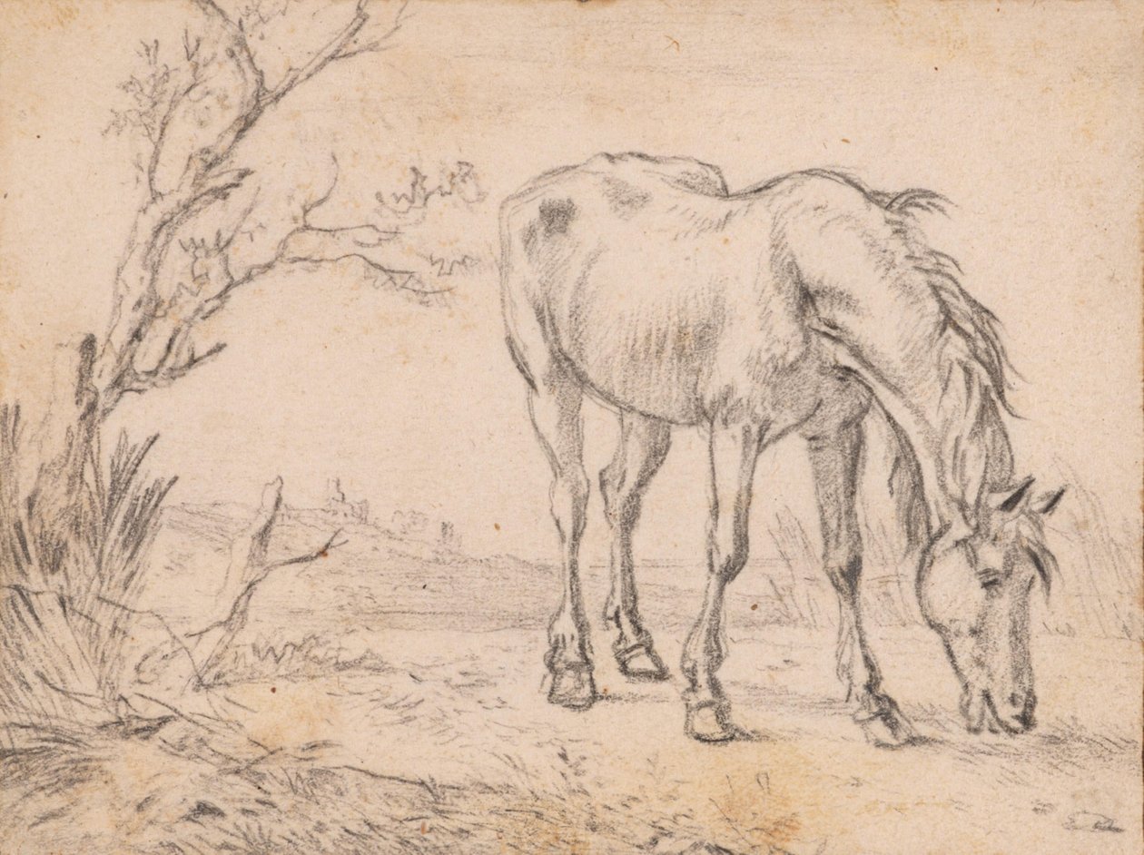 Um cavalo a pastar de Paulus Potter