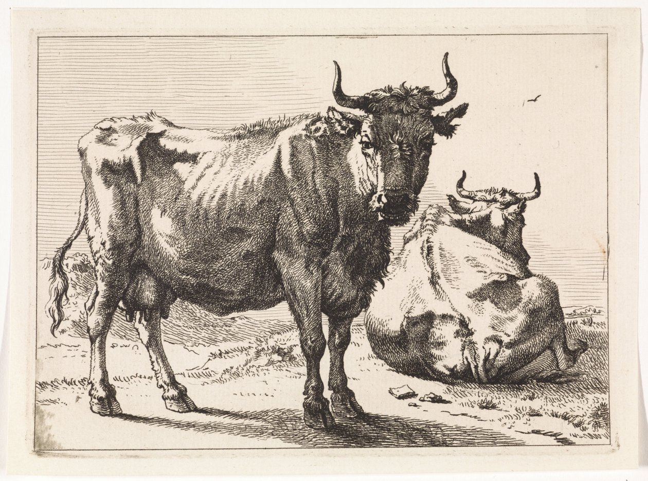 Uma vaca em pé e uma vaca reclinada
O Livro dos Touros (título da série) de Paulus Potter