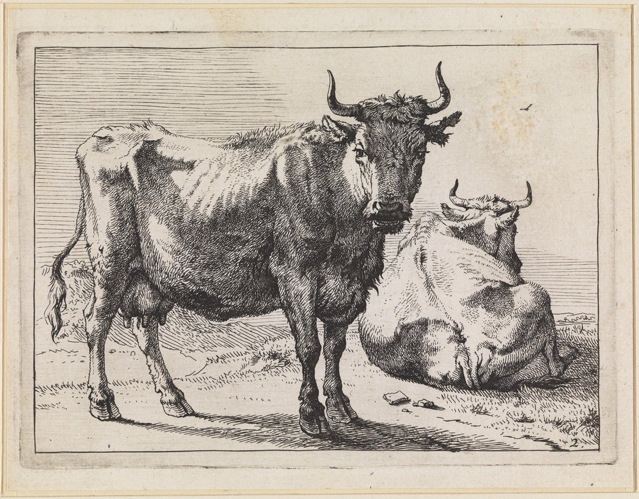Uma vaca de pé e uma vaca deitada de Paulus Potter