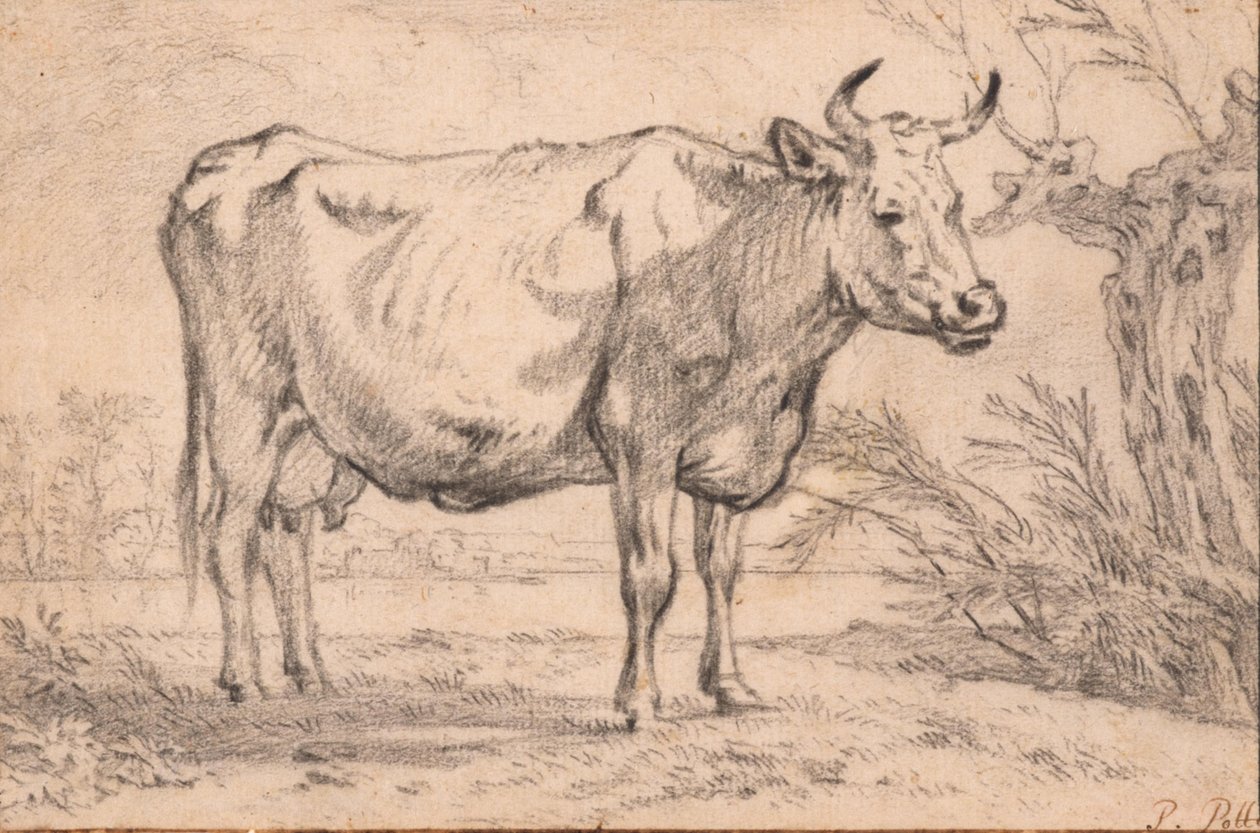 Uma vaca de pé de Paulus Potter