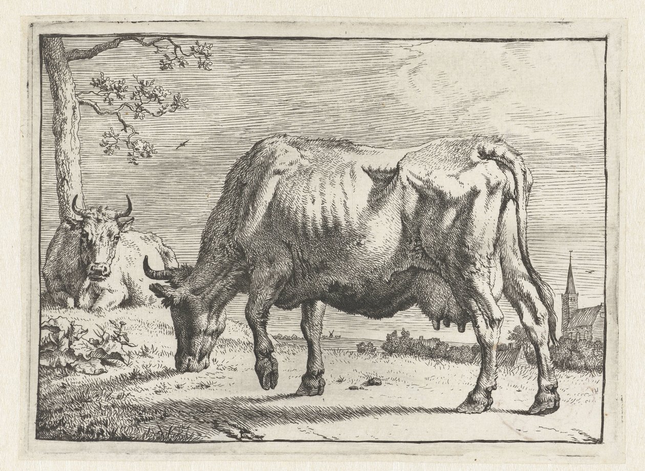 Vaca de pasto
O Livro dos Touros (título da série) de Paulus Potter