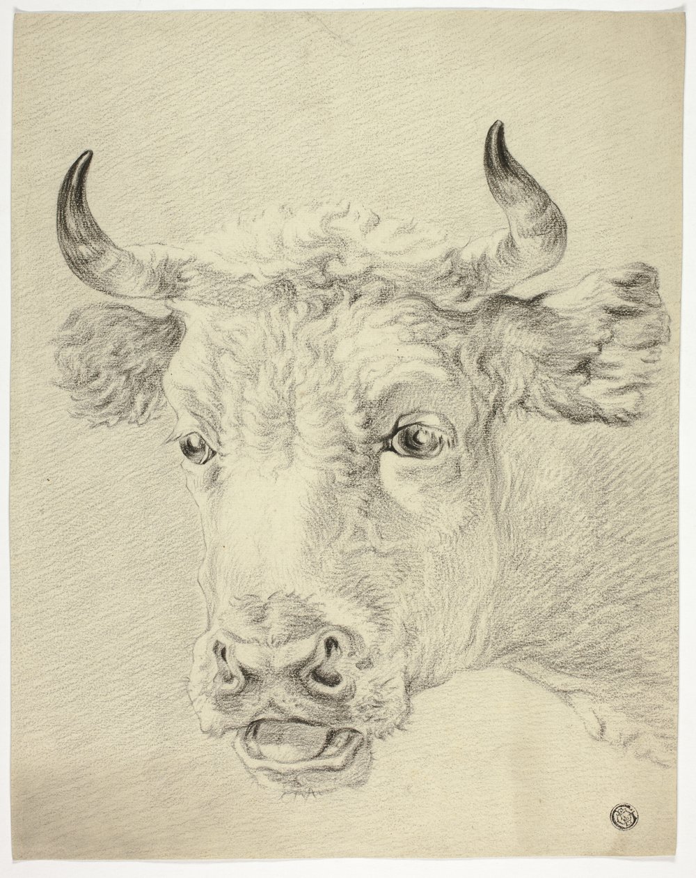 cabeça de vaca de Paulus Potter