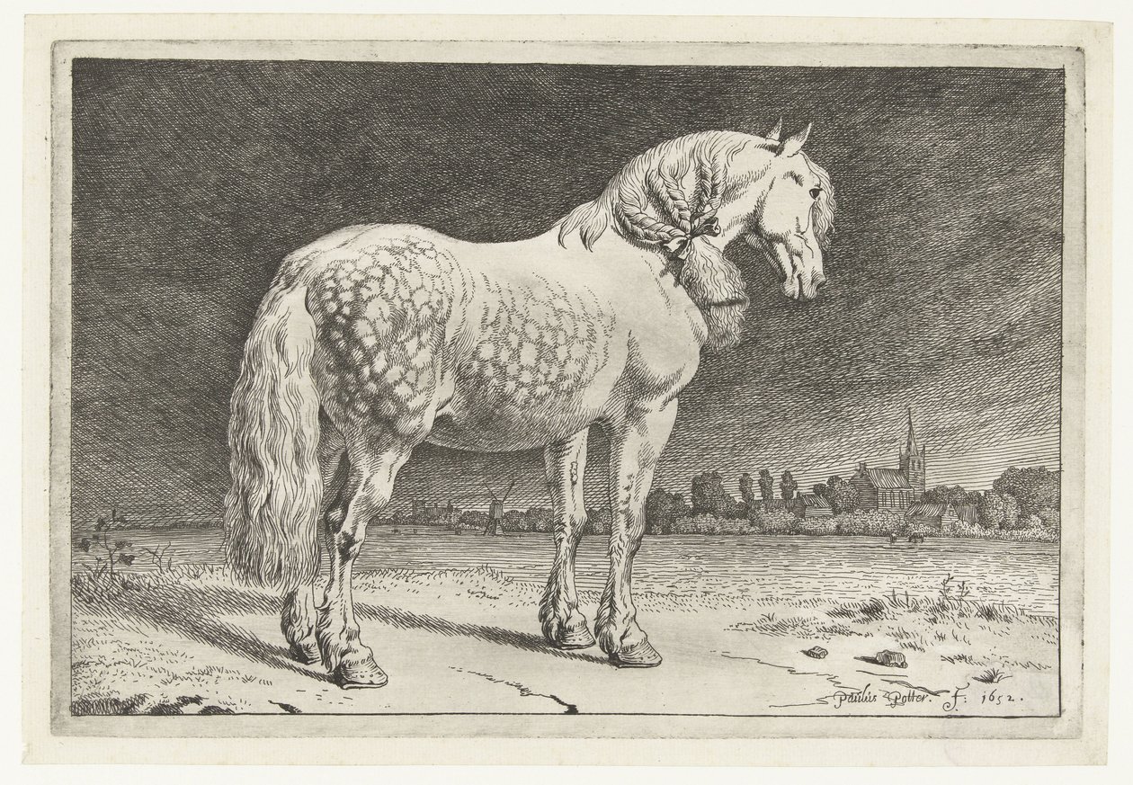 O cavalo Friesian Cavalos (título da série) de Paulus Potter