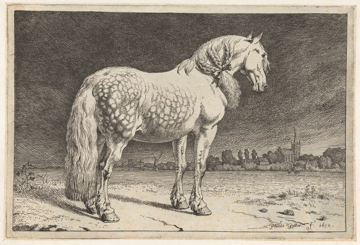 O cavalo frísio
Cavalos (título da série) de Paulus Potter