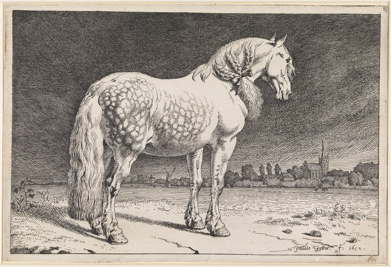 O cavalo frísio de Paulus Potter