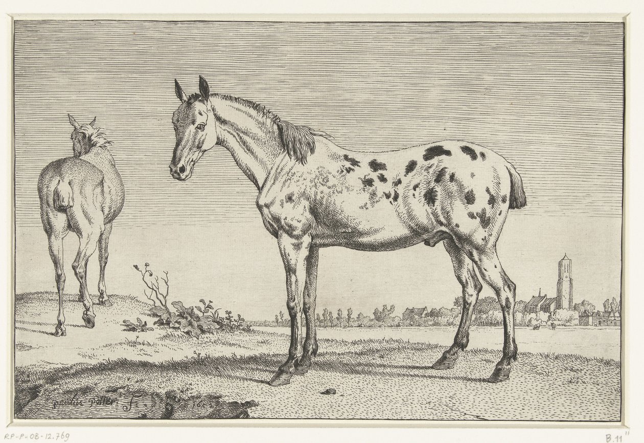 O cavalo ancorado Cavalos (título da série) de Paulus Potter
