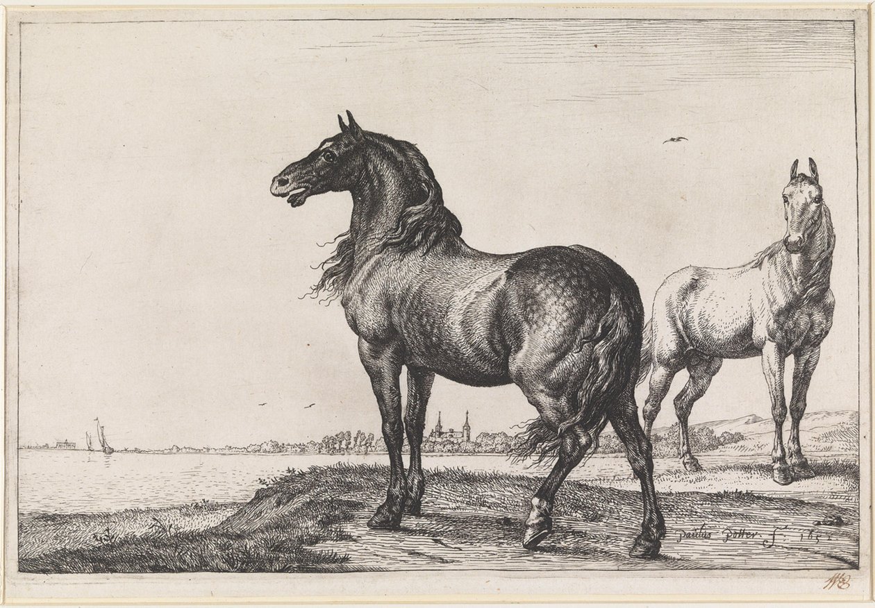 Cavalo a relinchar de Paulus Potter