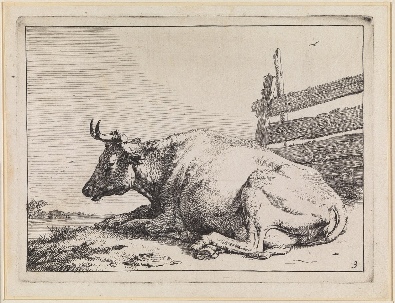 Vaca deitada junto a uma vedação de Paulus Potter