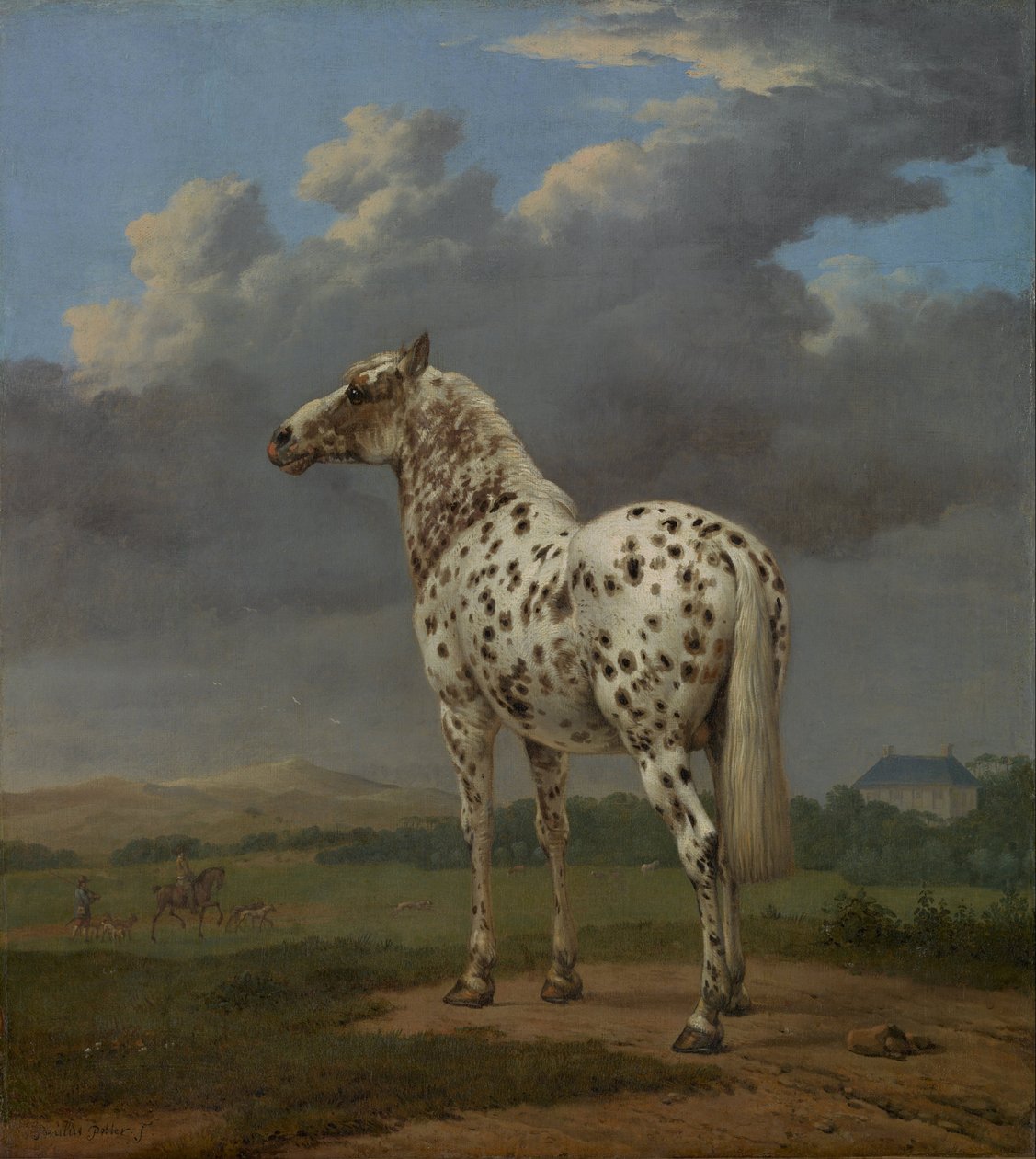 Cavalo malhado, ca 1654 de Paulus Potter
