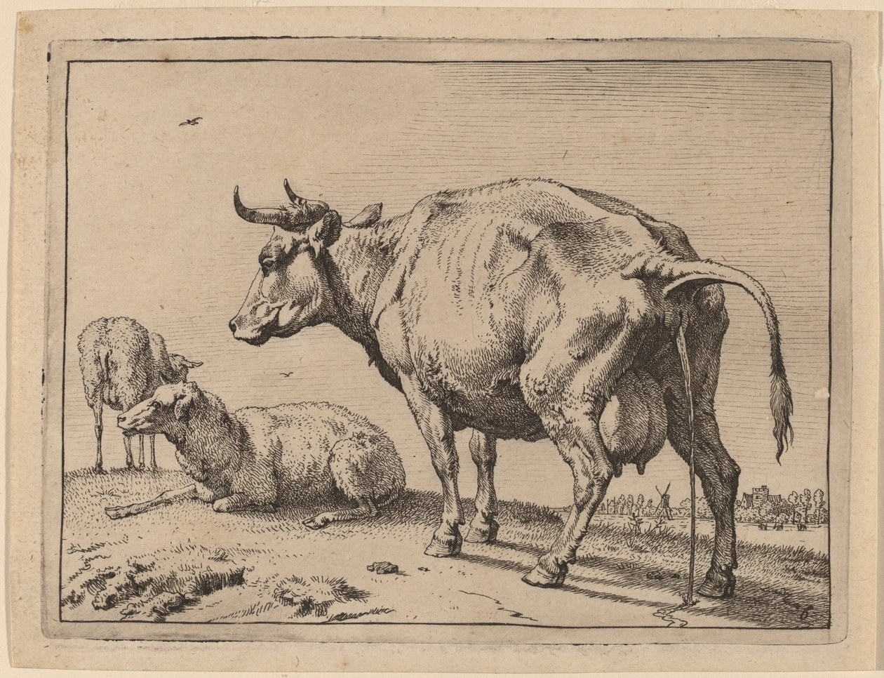 Vaca mijando de Paulus Potter