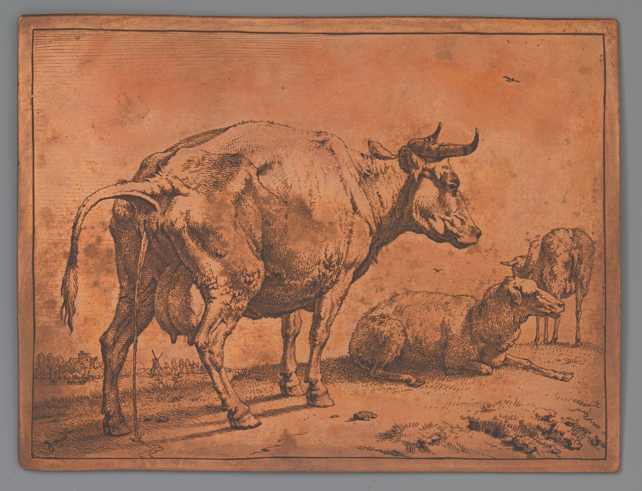 Vaca fazendo xixi e duas ovelhas de Paulus Potter