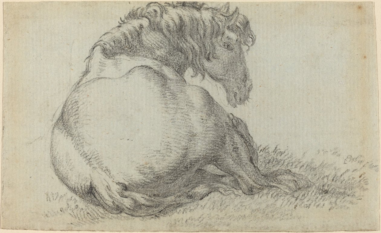 Cavalo de descanso de Paulus Potter