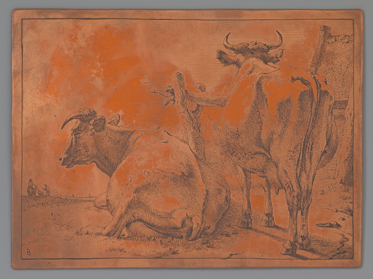 Vaca de pé e deitada, vista por trás de Paulus Potter