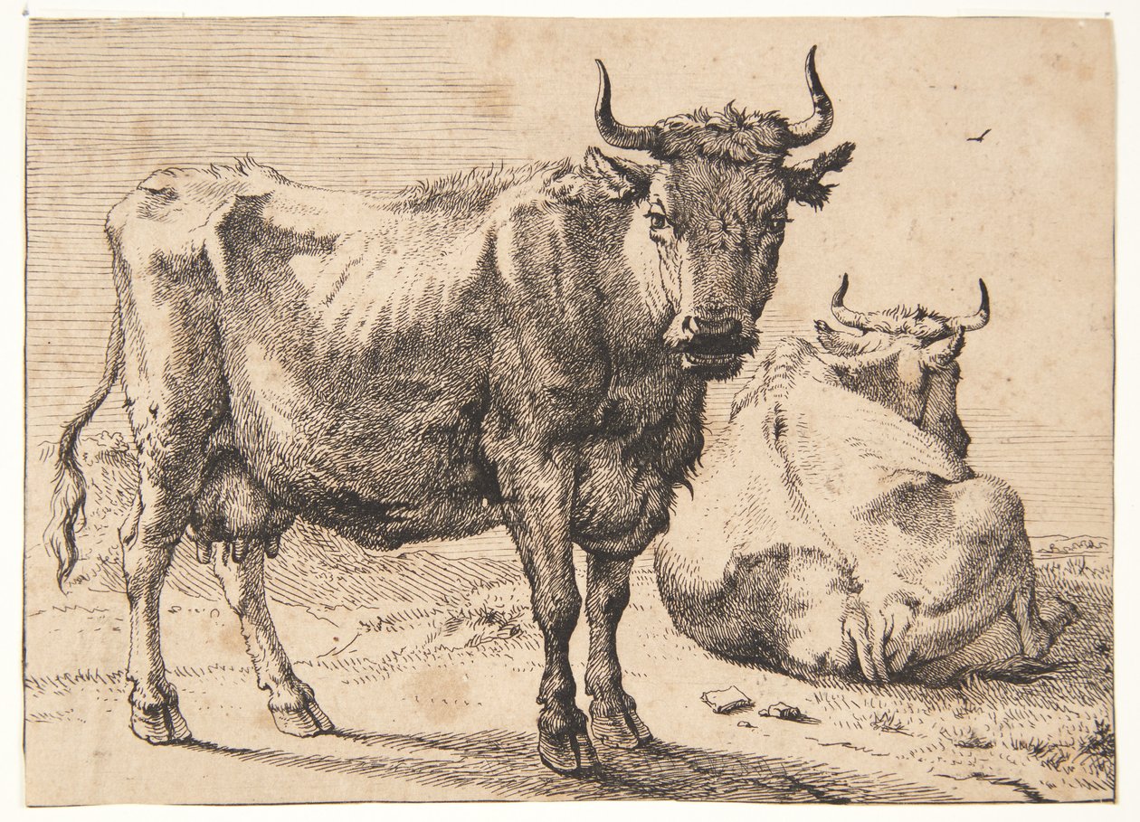 Vaca em pé e deitada de Paulus Potter