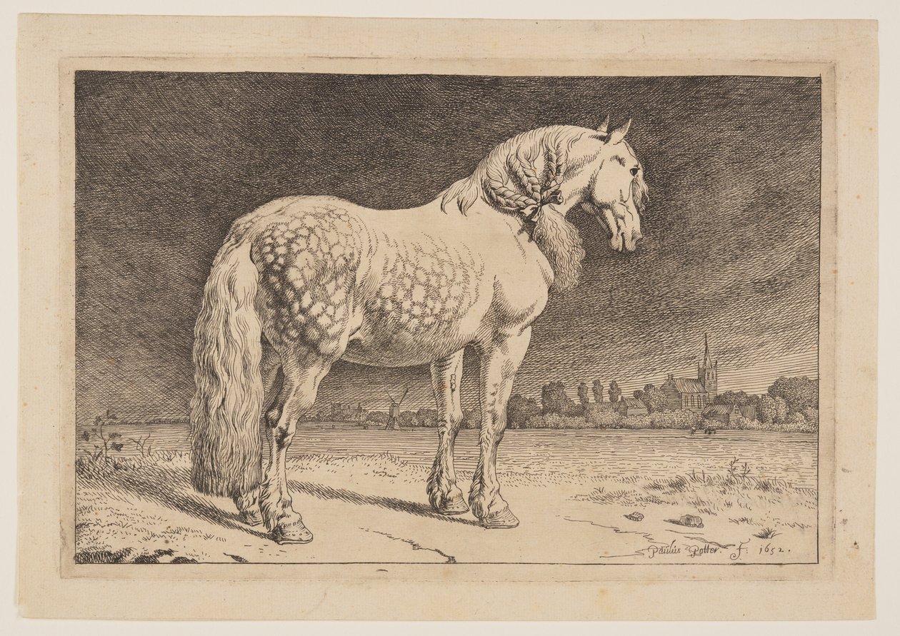 O Cavalo Frísio, de Série de Cavalos de Paulus Potter