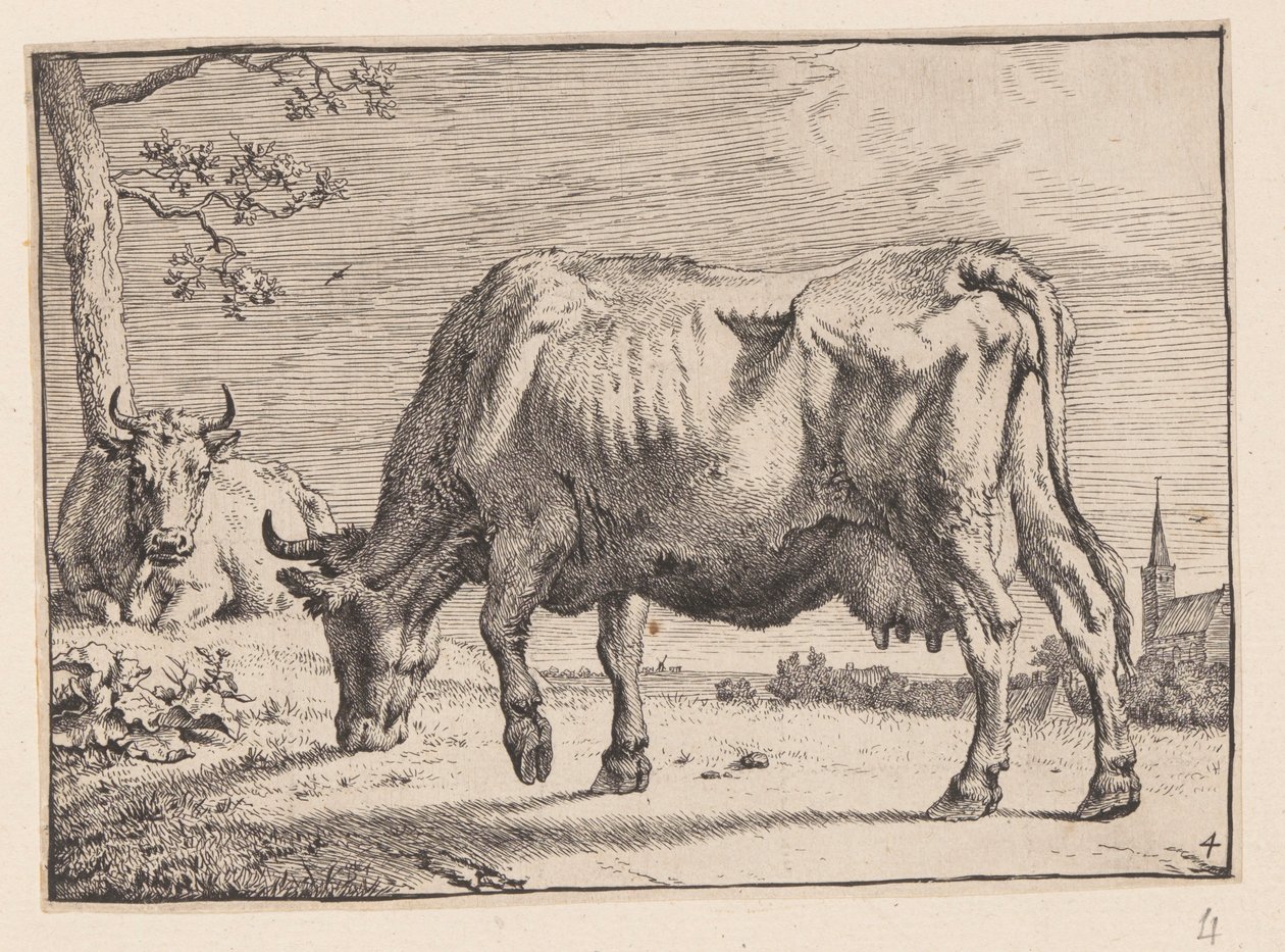 A vaca de pasto, de Vários bois e vacas de Paulus Potter