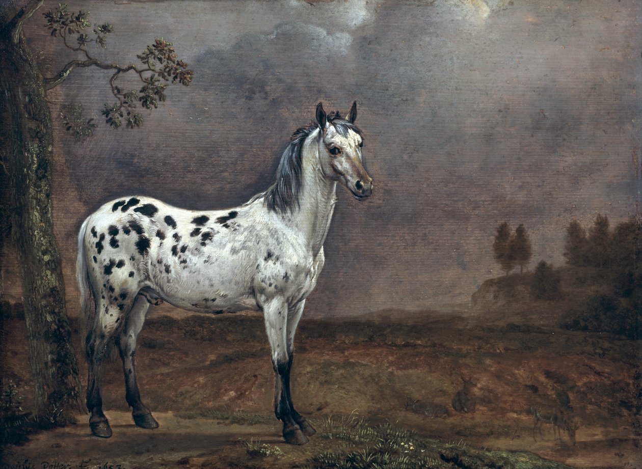 O Cavalo Malhado de Paulus Potter
