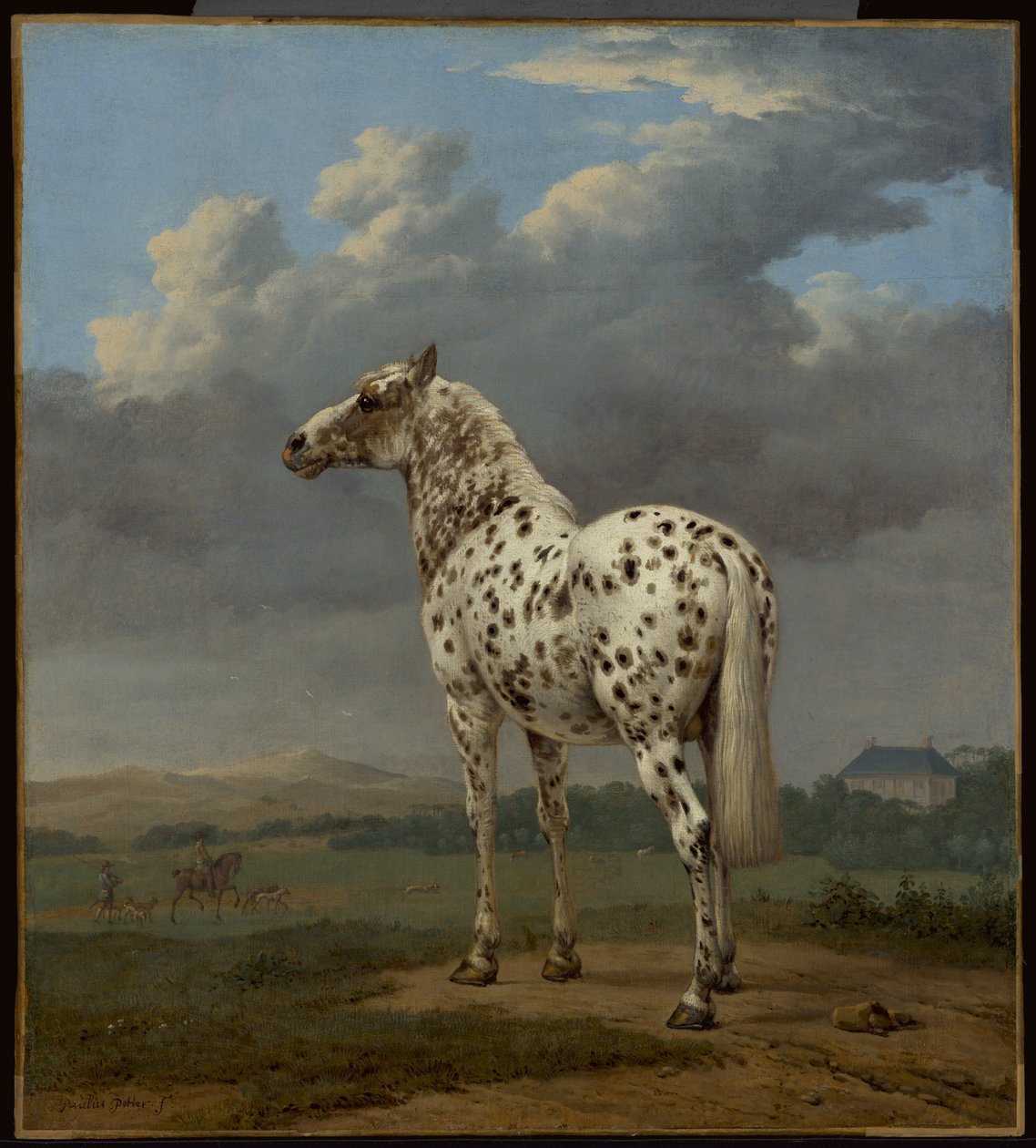 O cavalo "Piebald", c.1650-1654 (óleo sobre tela) de Paulus Potter