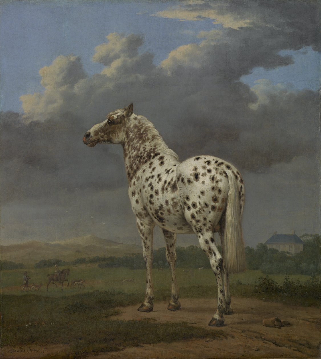O Cavalo "Malhado", c.1650-4 (óleo sobre tela) de Paulus Potter