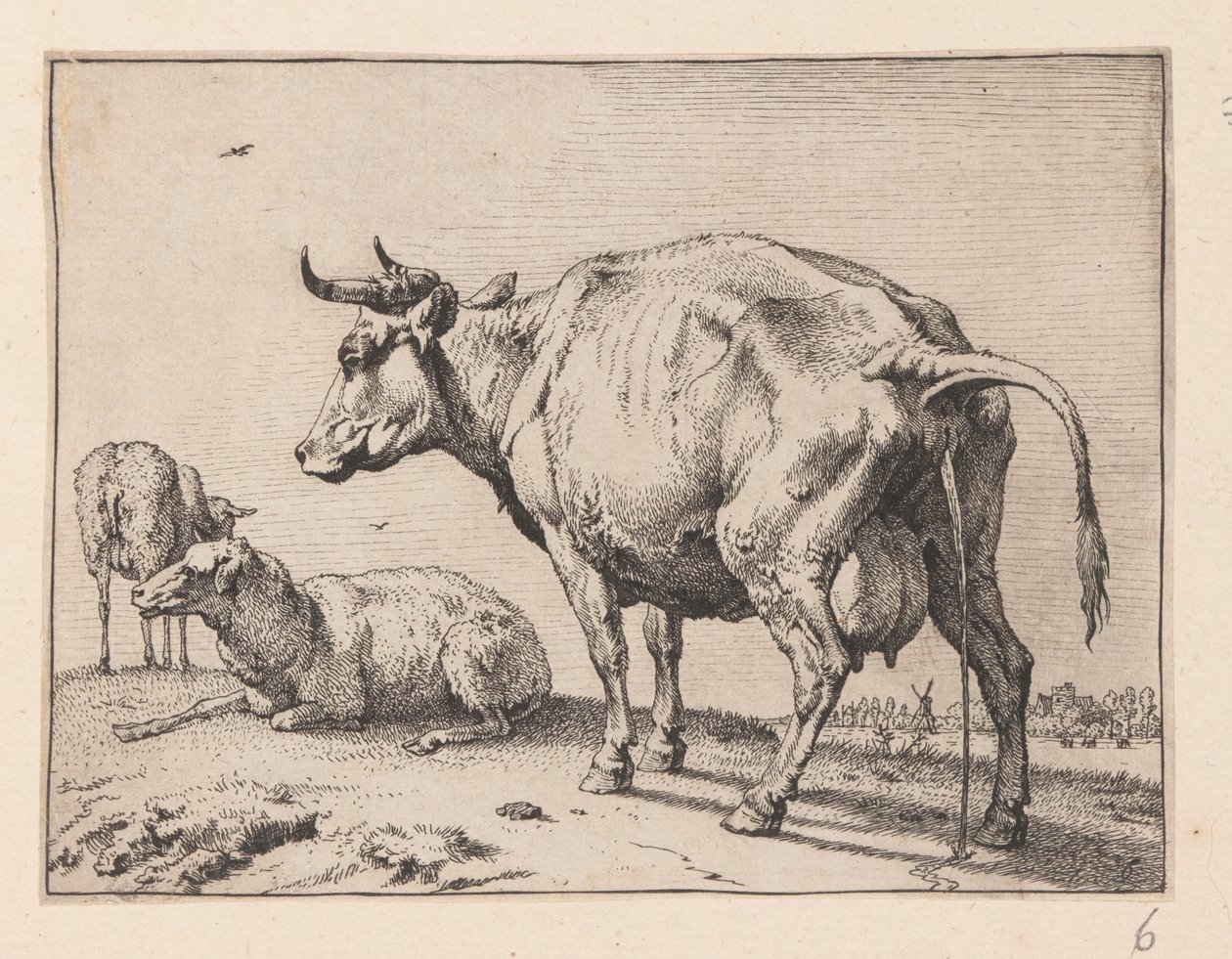A vaca que mija, de Vários bois e vacas de Paulus Potter