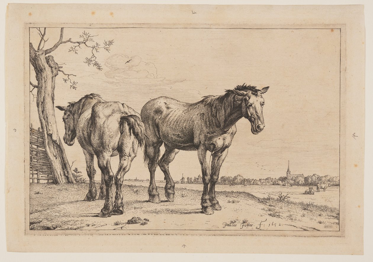 O Cavalo de Arado, de Série de Cavalos de Paulus Potter