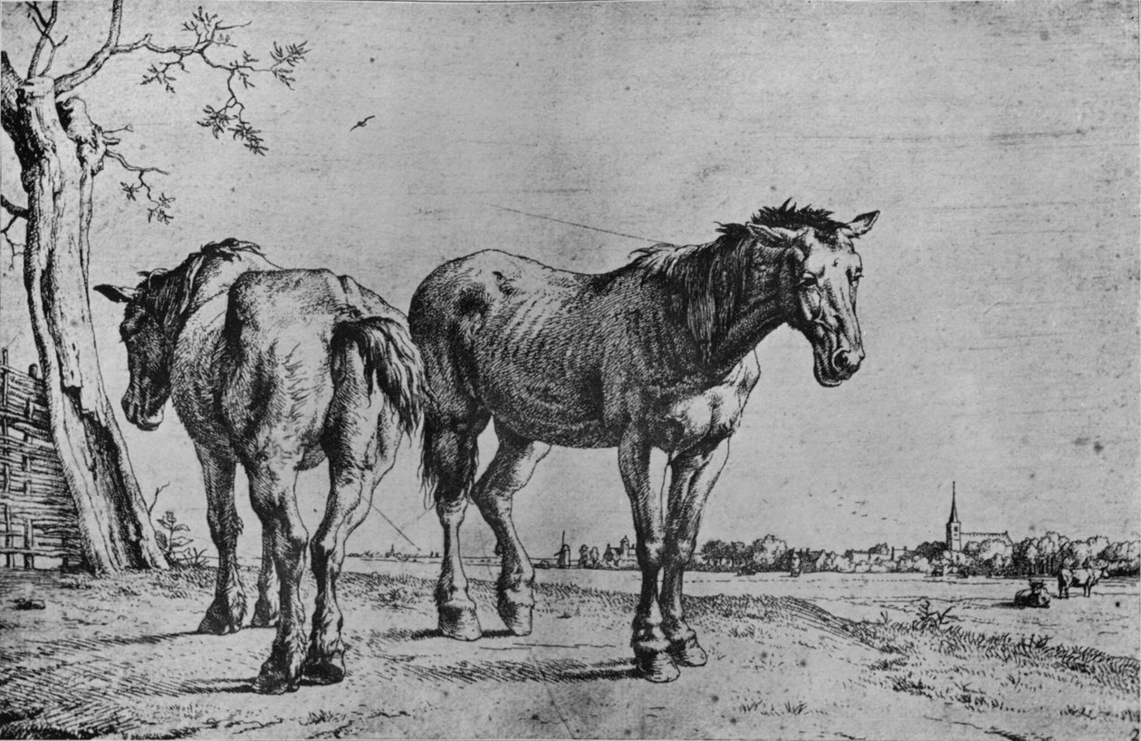 Os dois cavalos de arado, 1652 de Paulus Potter