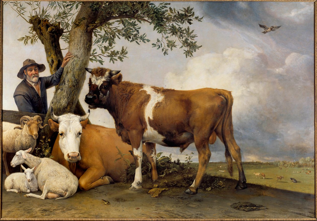 O jovem touro Um pastor e o seu gado, o Belier, o cordeiro, a vaca e o touro. Pintura de Paul Potter (1625-1654) 1647 Sol. 2,36x3,39 m Haia. Mauritshuis de Paulus Potter