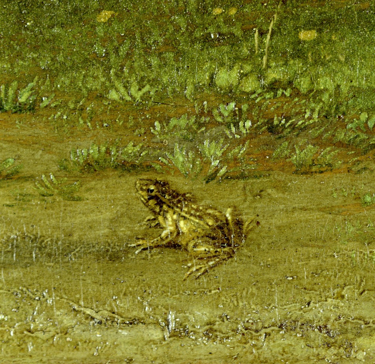 Sapo, detalhe de um compatriota companheiro com seu rebanho, 1648 (ver 242089) de Paulus Potter