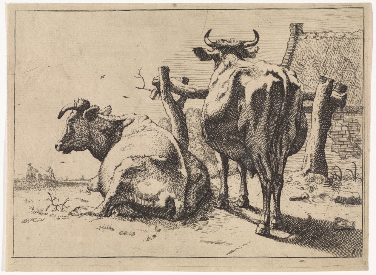 Duas vacas vistas de trás
O Livro dos Touros (título da série) de Paulus Potter