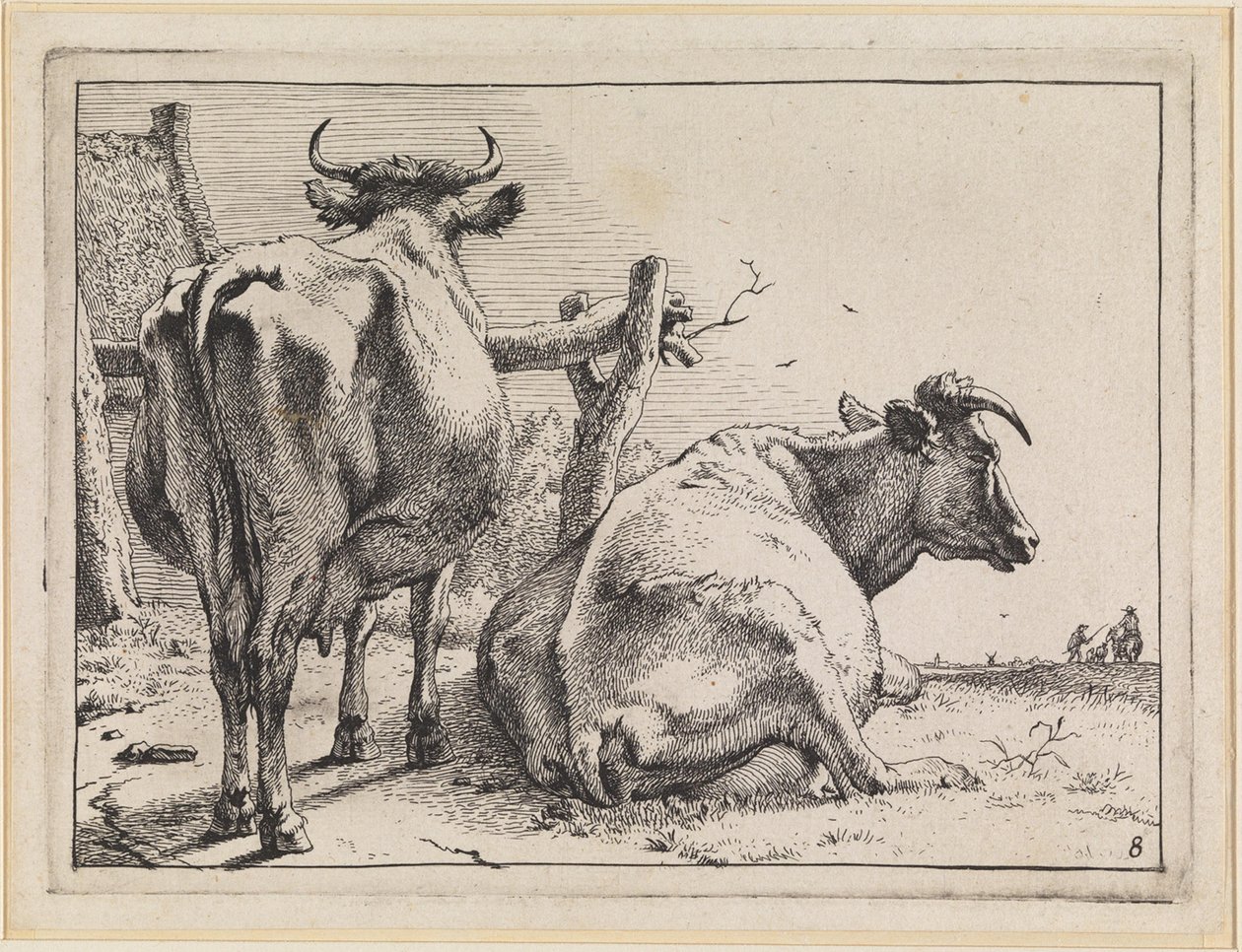 Duas vacas vistas de trás de Paulus Potter