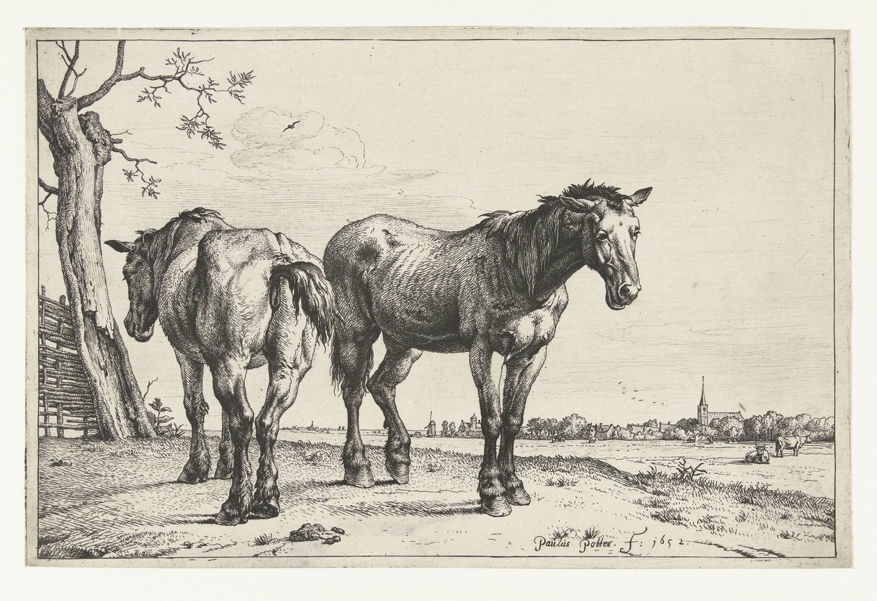 Dois cavalos de charrua
Cavalos (título da série) de Paulus Potter
